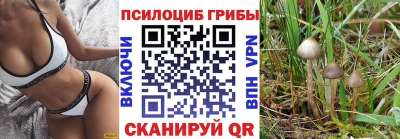 Псилоцибиновые грибы мухоморы  Певек 