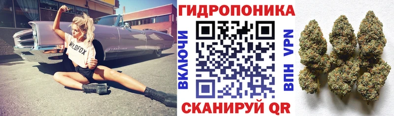Каннабис план  Певек 